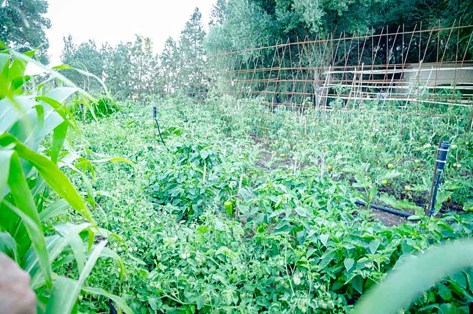 Hostal Restaurante Benalup Golf