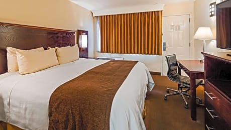 King Suite with Roll-In Shower - Disability Access