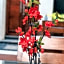 Alia Home