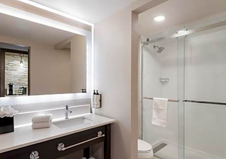 1 Kng Premium Mobil Access Tub Lake View