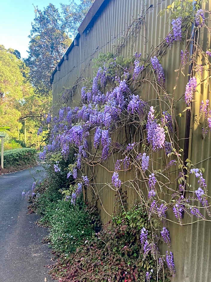 Edge Of The Forest Motel