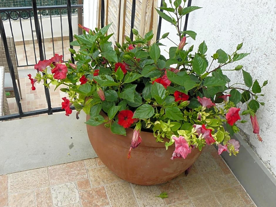 Marywilliam – Agropoli, UT