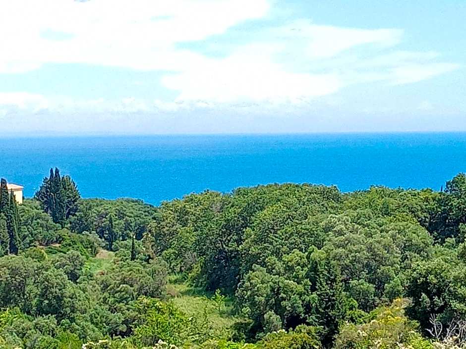 Amazona Apartments and Studios