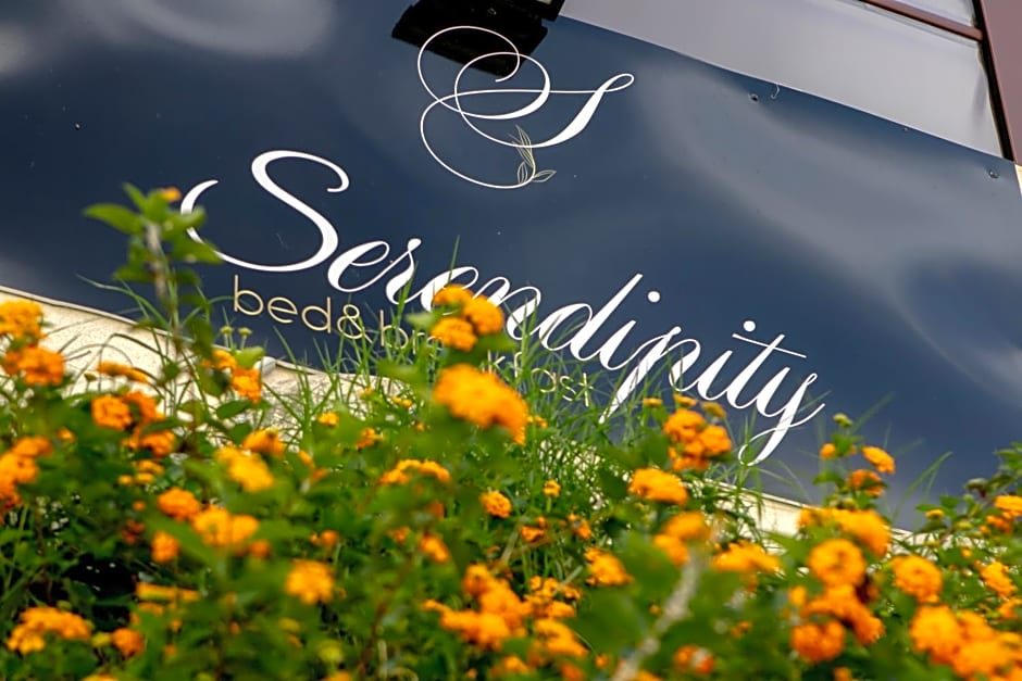 Serendipity B&B