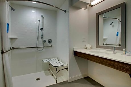 1 King Mobility/Hearing Acc Ri Shower Nosmok