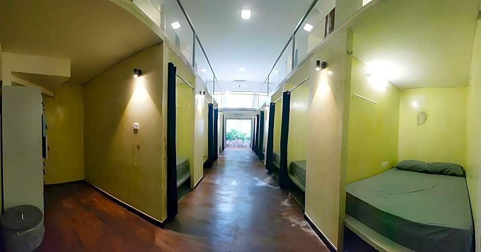 Beds In Garden Hostel