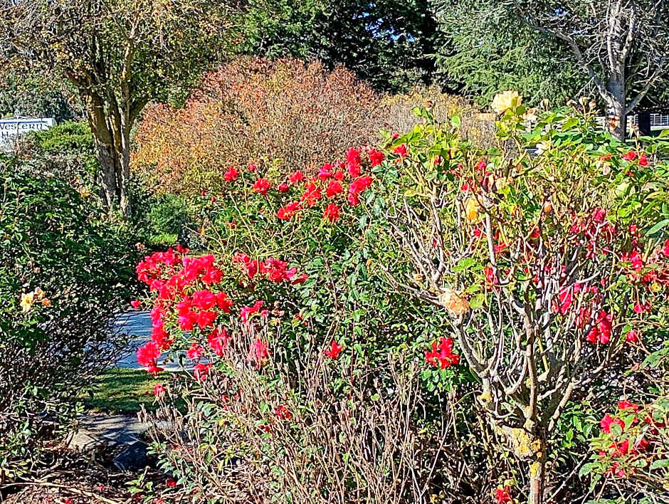 Western House B&B Kurow