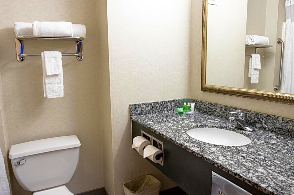 Holiday Inn Lake Union By IHG