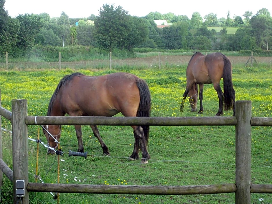 Les Croisettes