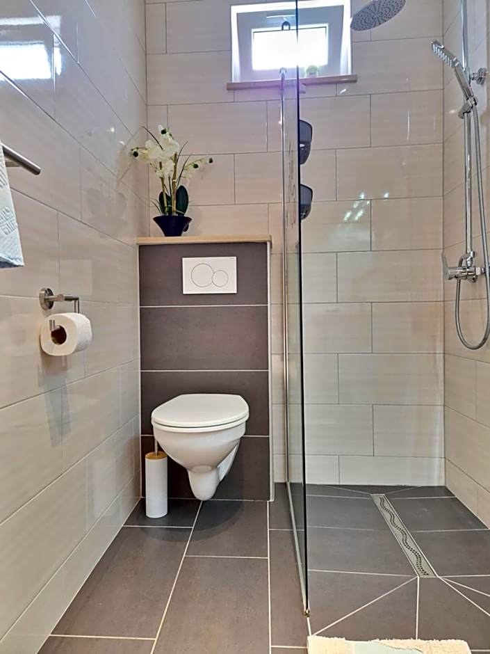 Luxury Apartments Silva with sea view