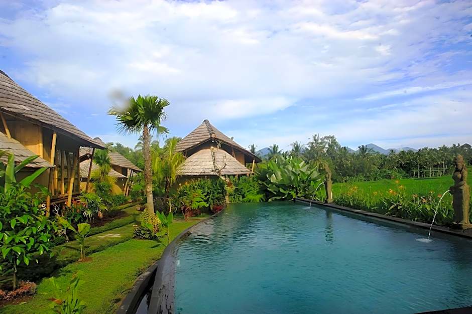 Padi Bali Eco Villas