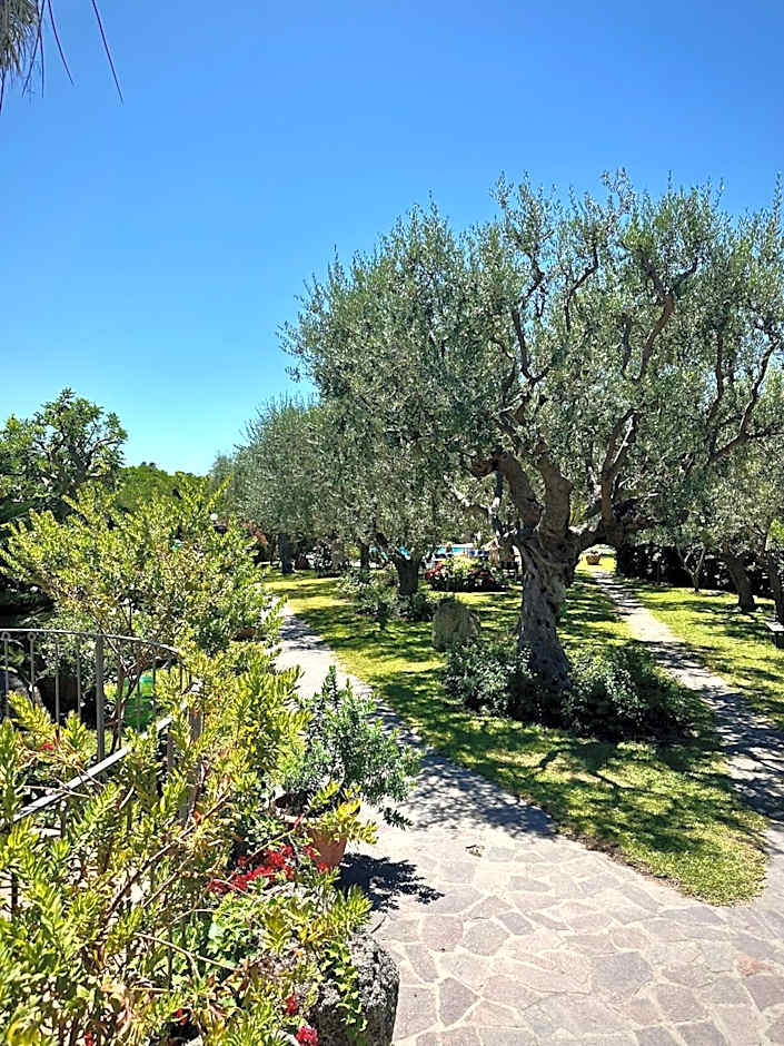 Hotel Boutique Ideal