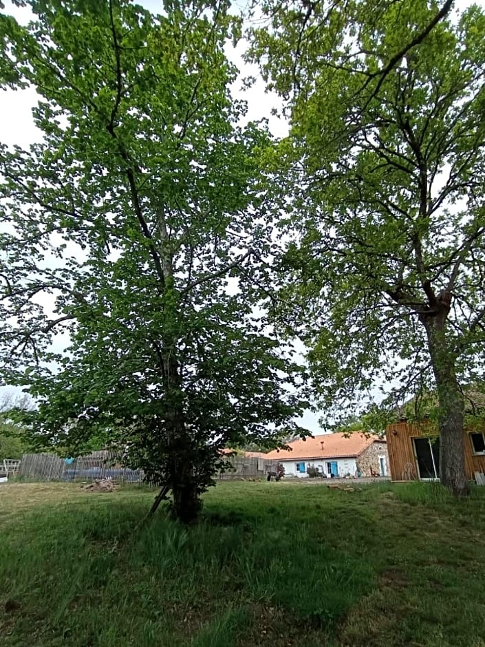les chambres du pont des chèvres