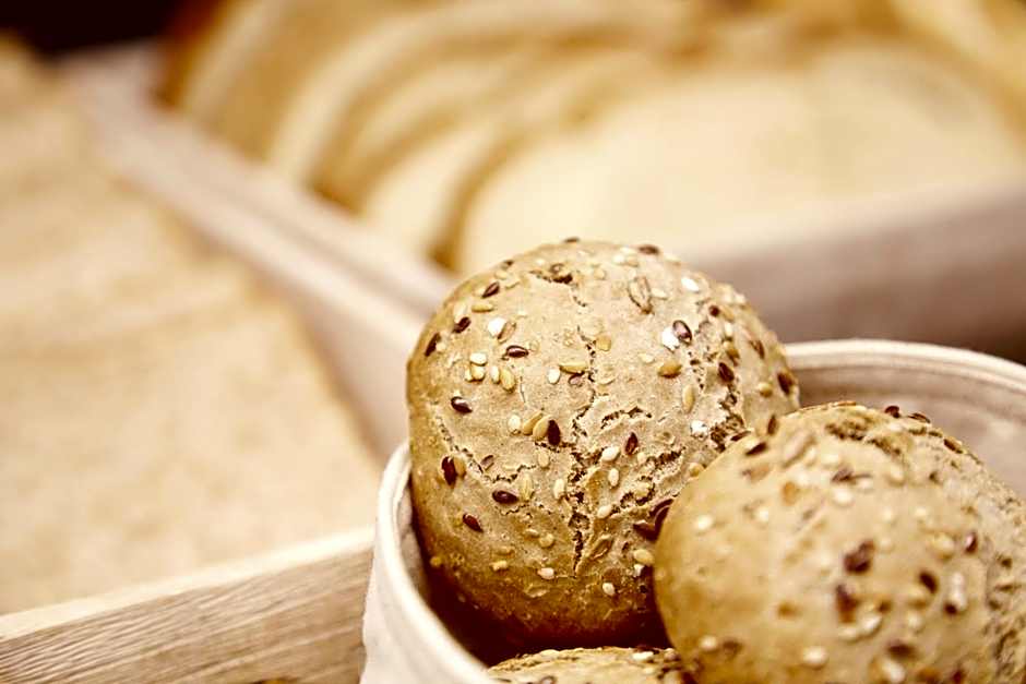 Hotel Arrizul Congress