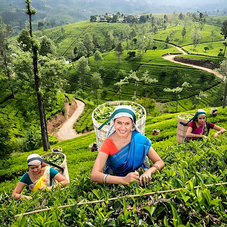 Oak-Ray Summer Hill Breeze Hotel