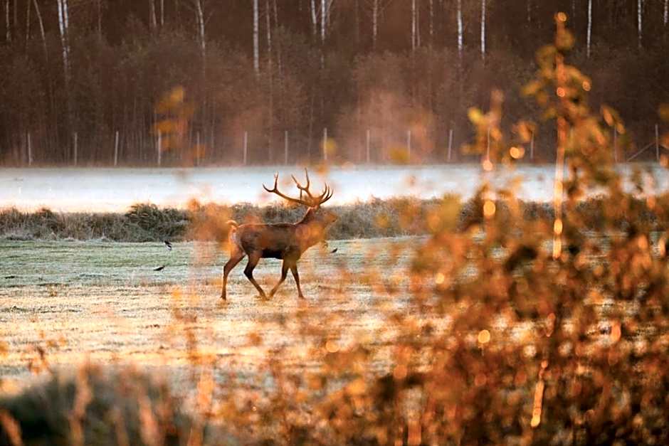 Toosikannu Nature Resort & Hotel