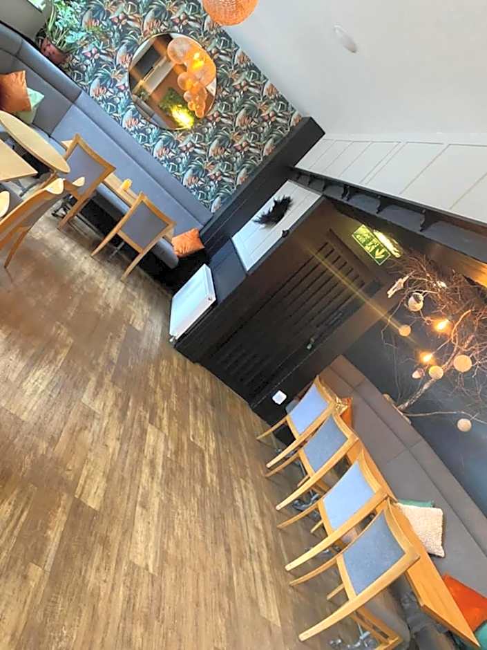 The Bear On The Square