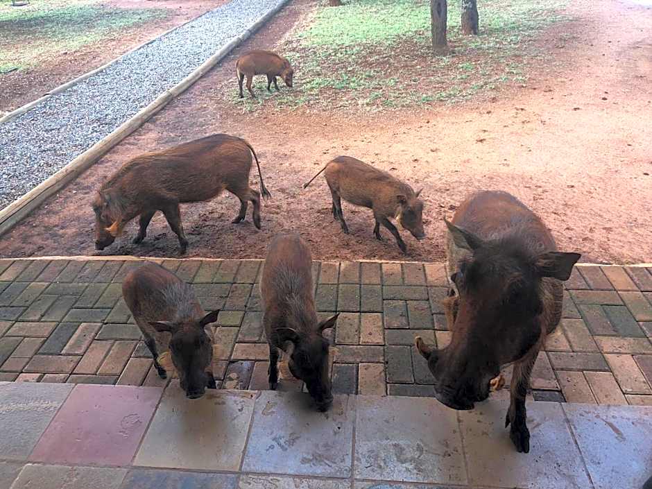 Makhato Bush Lodge 111