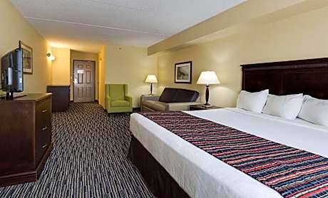 Studio Suite with King Bed and Sofa Bed - Non-Smoking