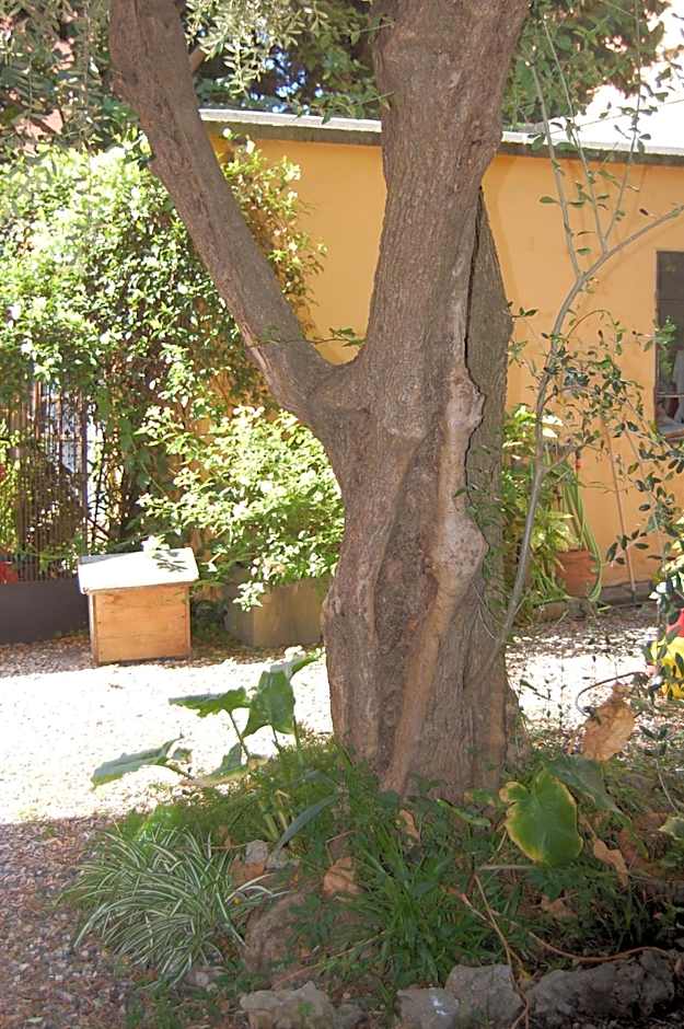 Arena Alfieri B&B