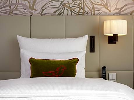 Superior Queen Room