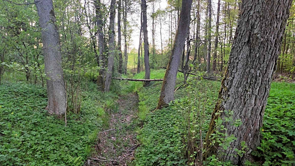 Domki Letniskowe Jerutki