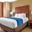 Comfort Inn Near Kokomo Speedway