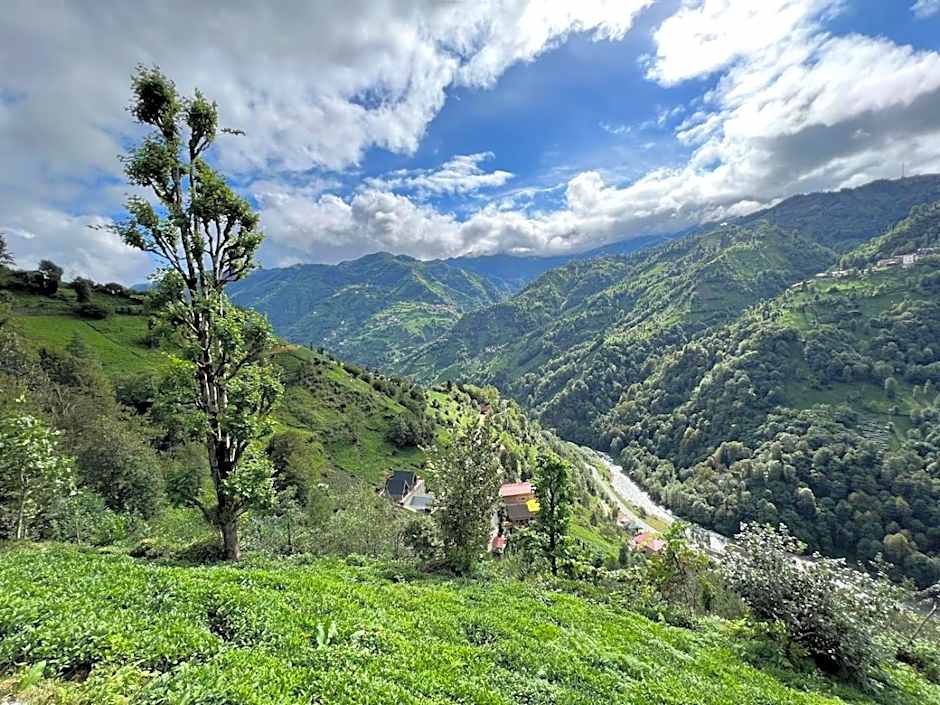 Peruma otel bungalov