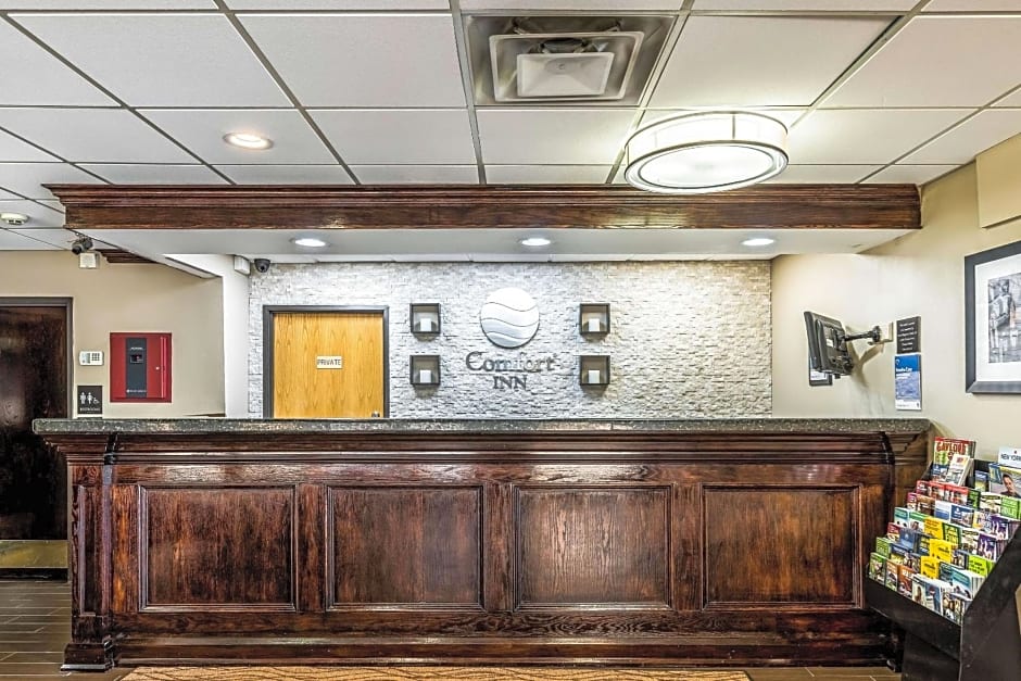 Comfort Inn Downtown Detroit
