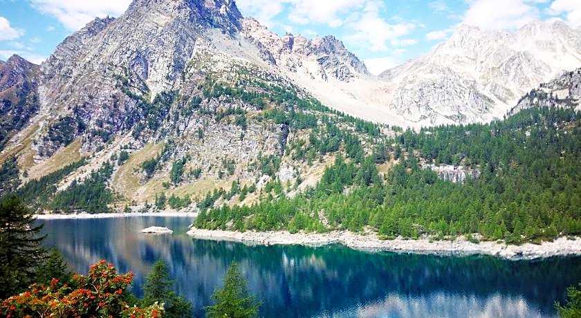 B&B Chalet Il Picchio