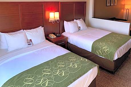 Queen Suite with Sofa Bed - Mobility Accessible/Non-Smoking