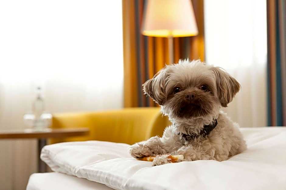 Vienna House by Wyndham Baltic Stralsund