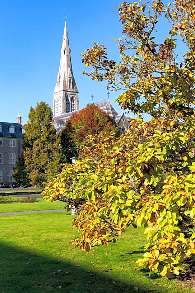 Maynooth College Hospitality