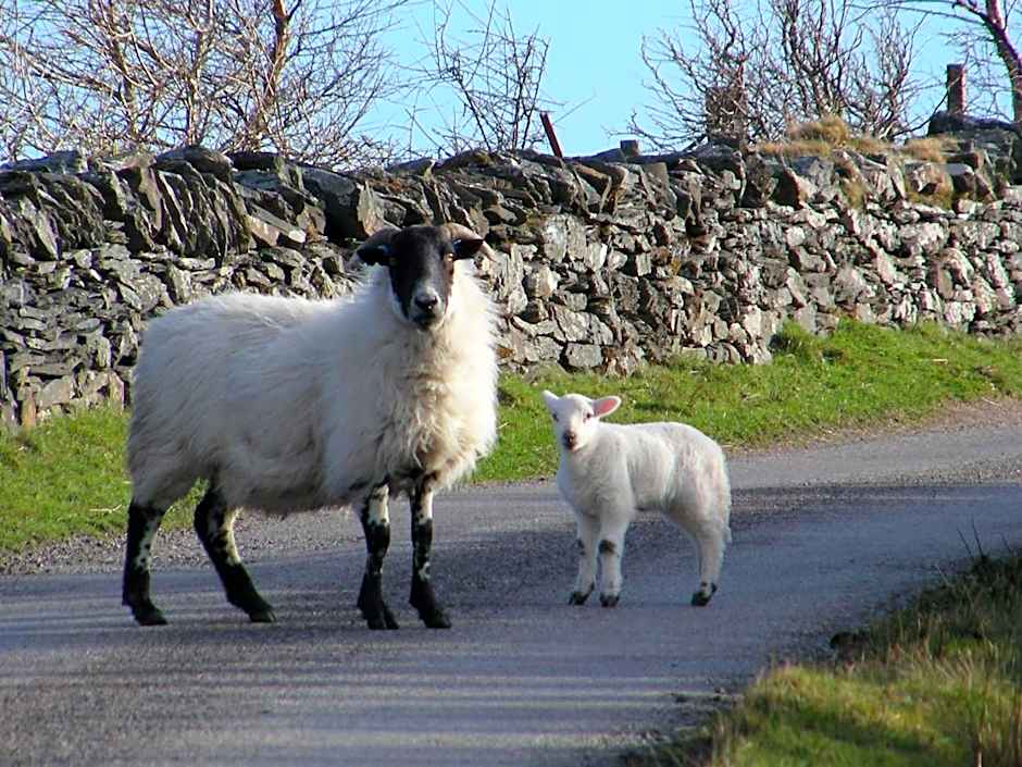 Sunnybrae, Isle of Luing