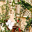 Riad Maison 24