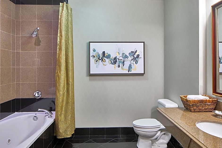 SpringHill Suites by Marriott Memphis Downtown