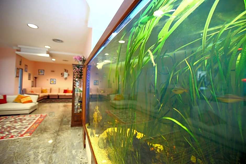Hotel Acquario