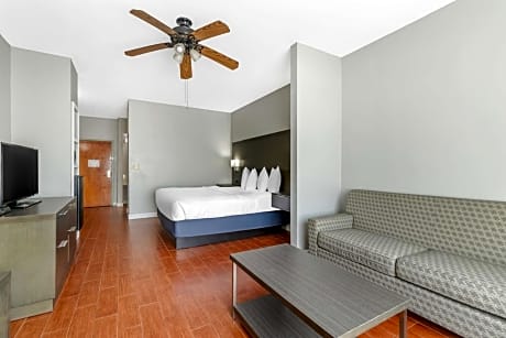 1 King Bed, Non-Smoking, Wireless High-Speed Internet Access, Microwave And Refrigerator, Coffee Mak