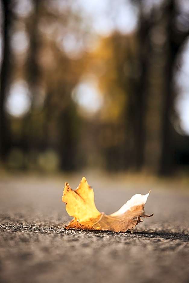 DAS ERZ Medical Spa & Hotel