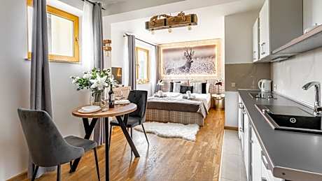 Comfort Apartment (2 Adults)