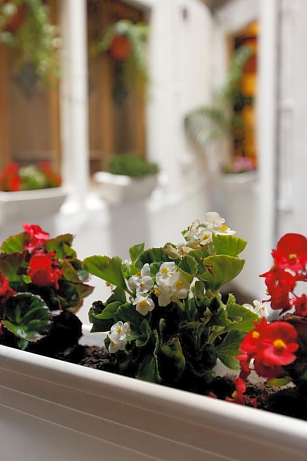 Primavera Hostel