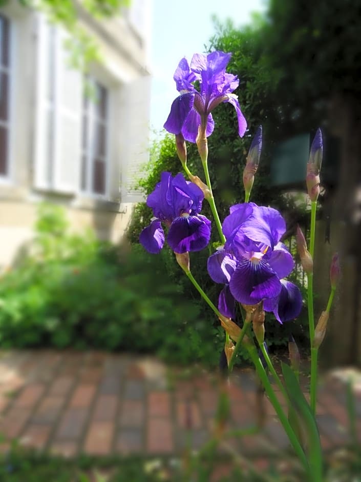 L'escalier des rêves
