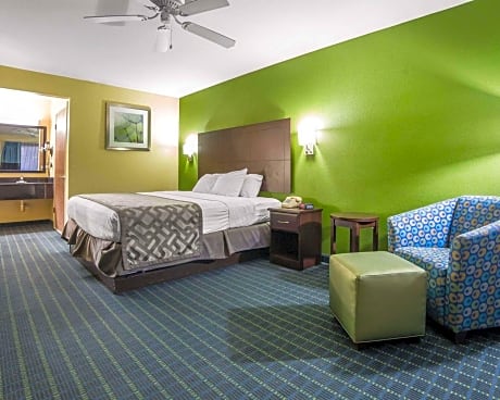 1 King Bed, Nonsmoking, Accessible