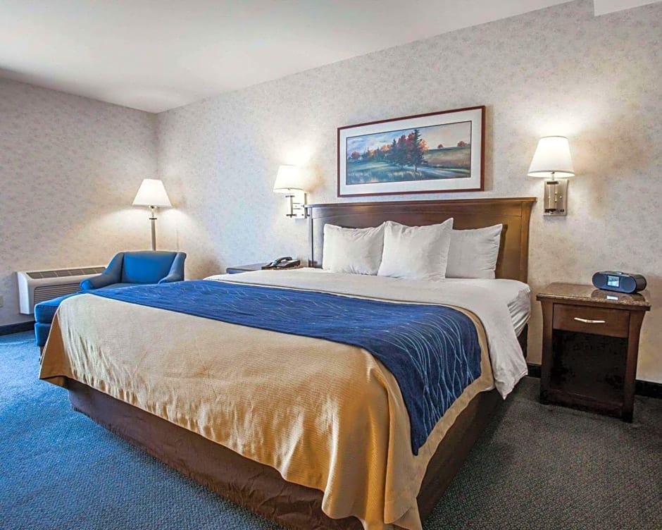 Comfort Inn Bellingham