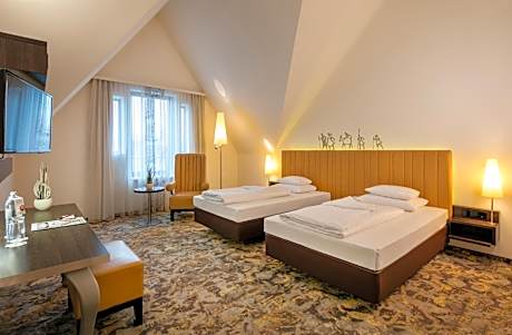 Comfort Double or Twin Room