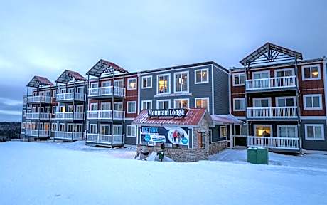 ML 294 Ski-InOut Slope Views Steps to Ballhooter Sleeps 6