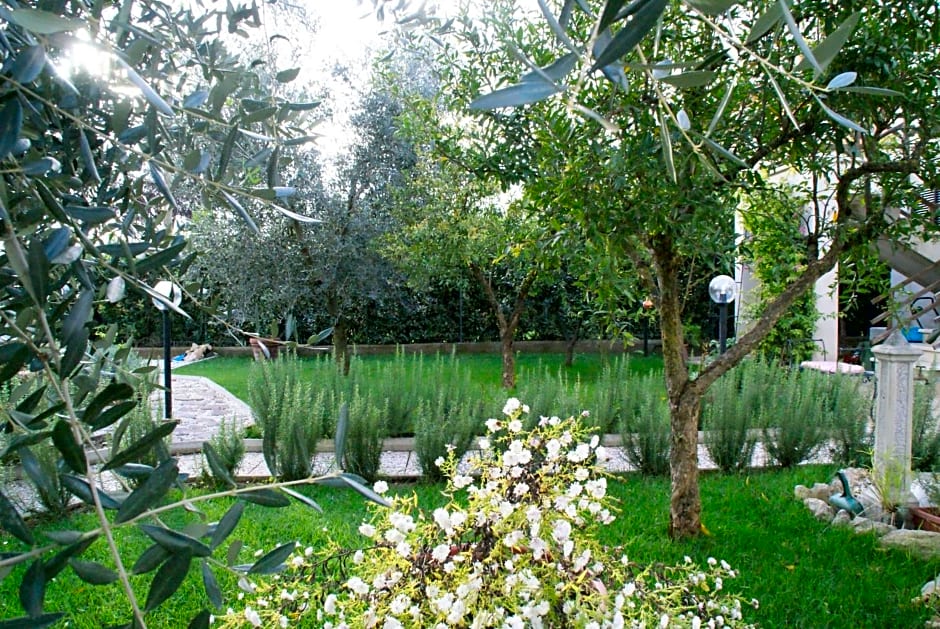 Bed&Breakfast degli ulivi