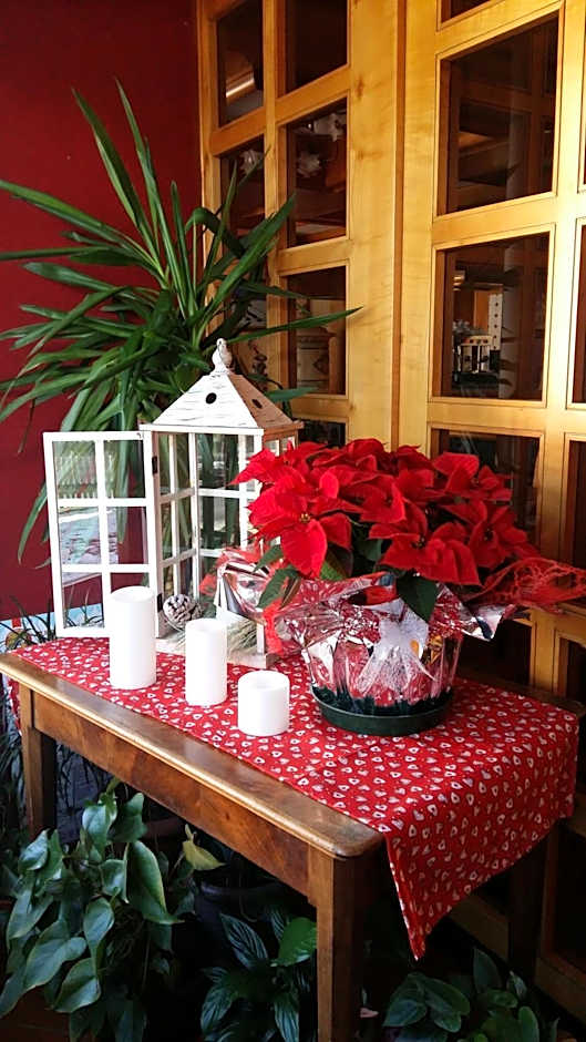 Albergo Garni Martina