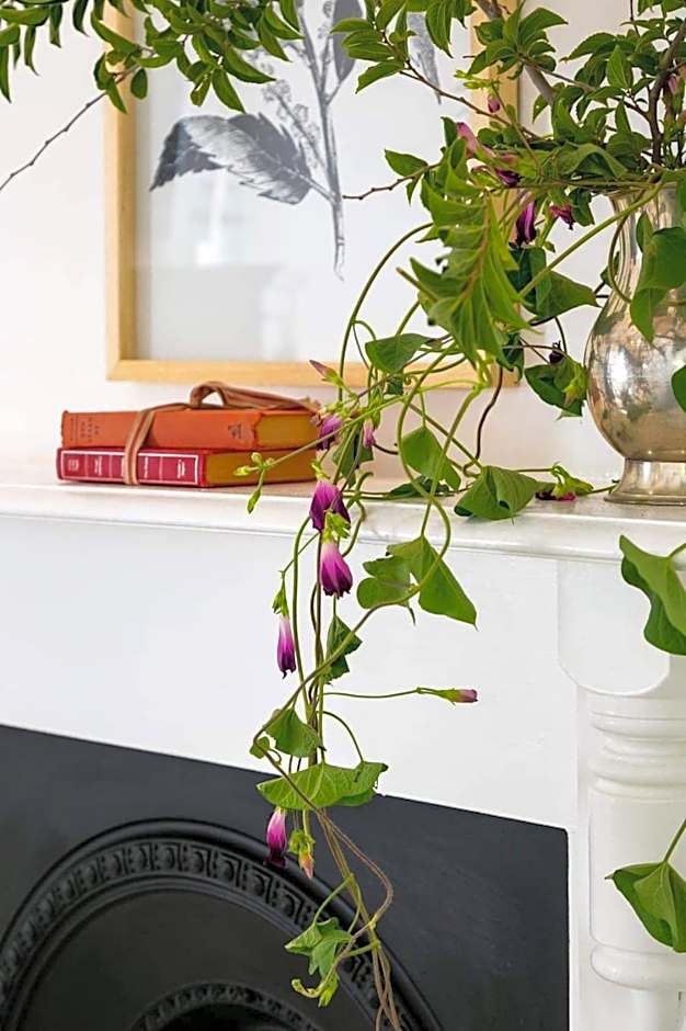 Boutique Guesthouse Hanover