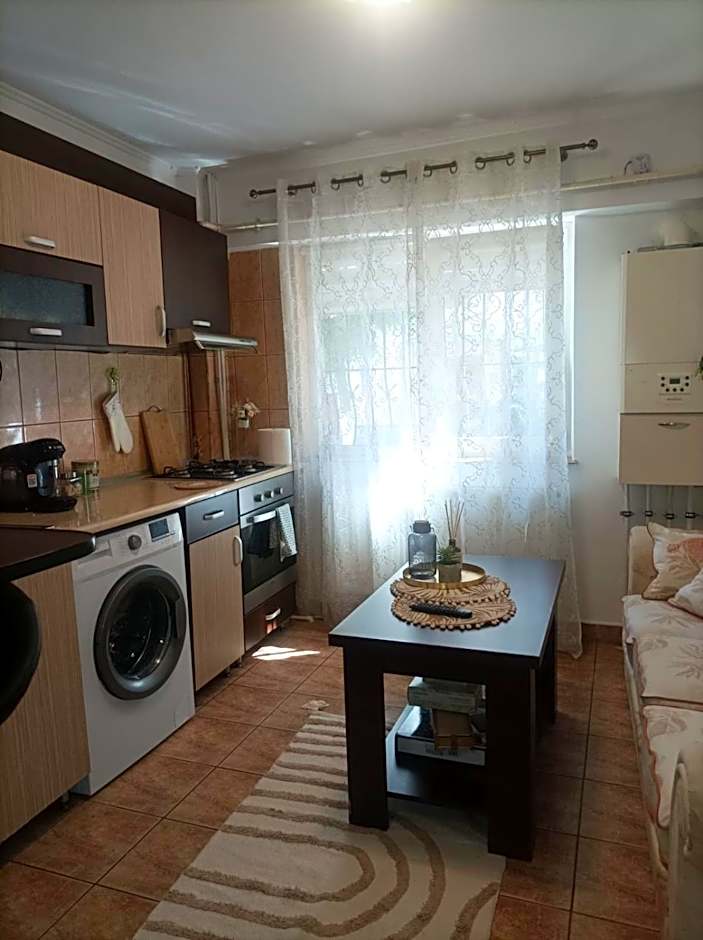 Apartament Florina